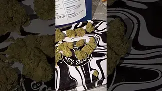 Strawberry Grail  (strawberry diesel x holy grail kush)