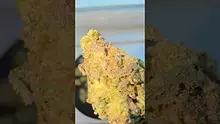 Mr. Green Scriptz Video Thumbnail