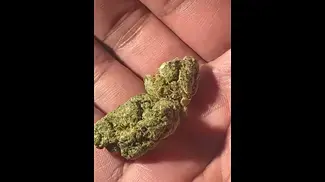 SUDZ by Muzo T27 | NUGS  #ukmedicalcannabis #strain #strainreview