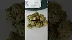 Four20 GCM - Grapes & Cream