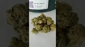 Four20 GCM - Grapes & Cream