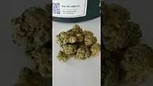 Medical UK Cannabis Video Thumbnail