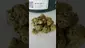 Video Thumbnail: Medical UK Cannabis
