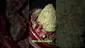 Video Thumbnail: Medical 420