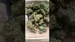 Legal uk medical Grow Pharma strawberry glue 22%thc 1%cbd 10g #itsokaytotalk #medicated