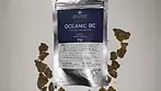 OCEANIC BC Black Cookies Review UK medical cannabis