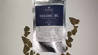 OCEANIC BC Black Cookies Review UK medical cannabis