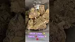 AAAA Lemon  Cherry  Gelato  #medicalcannabis #painrelief #ukmedicalcannabis #medicated