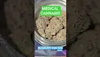 Blueberry Yum Yum T24 #cannabiscommunity #medicalcannabis #weedchannel #medicalweed #420 #medical