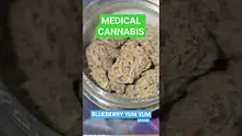 Big Bud Reviews Video Thumbnail