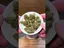 Video Thumbnail: imhighngl
