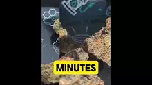MedCannaBliss Video Thumbnail