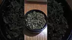 DOE - BRITZ - 0.5g DOUBLE GRIND FOR SMOOTHNESS