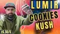 Video Thumbnail: MillsMF
