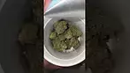 aurora  - farm gass
