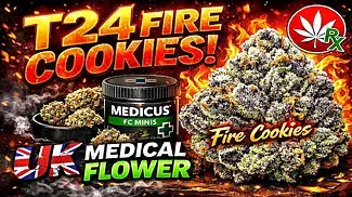 UK MEDICAL FLOWER | MEDICUS | FIRE COOKIES | T24 #420community #420 #MEDICUS #uk #ukmedicalcannabis