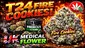 Video Thumbnail: Cannabis Culture 
