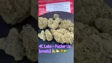 Smokey Mo Video Thumbnail