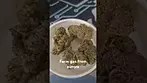 Farm gas from aurora pedanios uk medical prescription