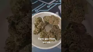 Farm gas from aurora pedanios uk medical prescription