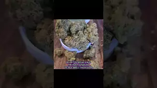 Supreme Diesel - Green Karat SD #medical #cannabis #uk #alternaleaf #curaleaf #review #educational