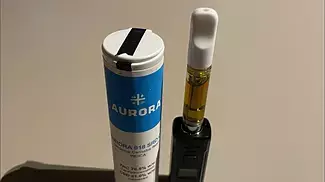 Aurora T918 sourdough resin cartridge REVIEW