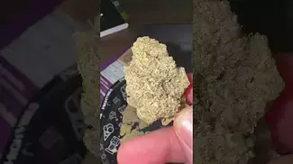 4C Labs - Khalifa Mints | First Look