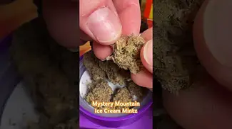 Mystery Mountain Ice Cream Mintz