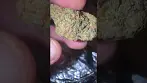Doe Britz UK medical cannabis updated video from last one #cannabisheals #medical #uk