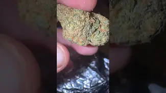 Doe Britz UK medical cannabis updated video from last one #cannabisheals #medical #uk