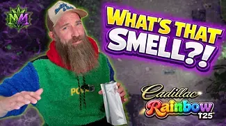 Cadillac Rainbow T25 Review | What’s That Smell?!  | Humble Bud UK Medical Cannabis