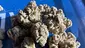 Video Thumbnail: Medical Bud Reviews