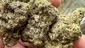 Video Thumbnail: Medical Bud Reviews