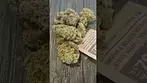 Pucker up smalls c4 labs 22%thc
