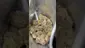 Video Thumbnail: High Jack