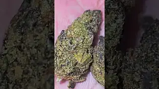 4C Labs Craft Select DB T26 Death Bubba Flower 10g - Amazing for my pain relief.  8xd in a glass jar