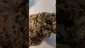 Video Thumbnail: Konna
