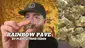 Video Thumbnail: High Jack