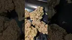 COOKIES HAWAIIAN RAIN (UK PRESCRIPTION MEDICATION)