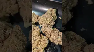 COOKIES HAWAIIAN RAIN (UK PRESCRIPTION MEDICATION)
