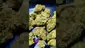 Video Thumbnail: PrescribedBouquet