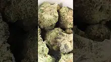 PrescribedBouquet Video Thumbnail