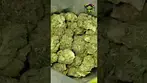 Find | Zookies | UK Medical Flower | First Look