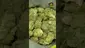 Video Thumbnail: VIP THC