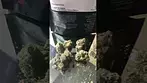 Lot420 ROR T28 Ripped Off Runtz Medical Cannabis Flower