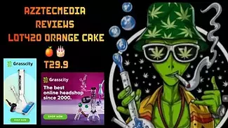 AzztecMedia Reviews LOT420 ORANGE CAKE  T29.9