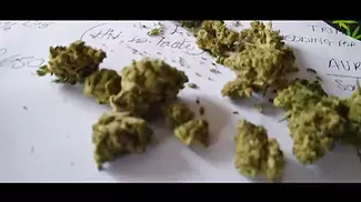 MEDICAL CANNABIS UK.. REVIEW OF HEXACAN 05 MAC..9 months of meds