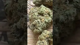 Uklegal #GoodSupplyReserve Cherry cheesecake 27%thc1%cbd #medicated #mentalhealth #ukmedicine