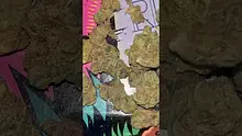 St0nerLukas Video Thumbnail
