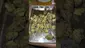 Video Thumbnail: LoudConnoisseur